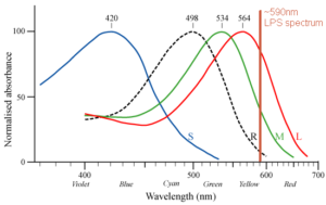 graph of response of human color vision pigments to different wavelengths of light